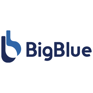 BigBlue Official Store Coupons and Promo Code