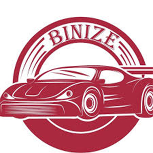 Binize Coupons and Promo Code
