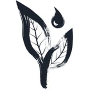 BornTea Coupons and Promo Code