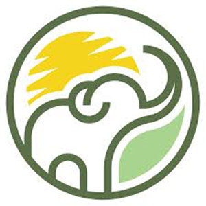 Elephantartonline Coupons and Promo Code