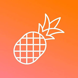Pineapple Builder Coupons and Promo Code