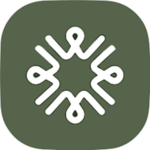 Youware Coupons and Promo Code
