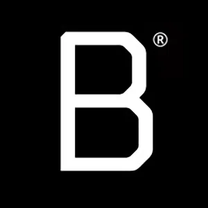 Baggizmo Coupons and Promo Code