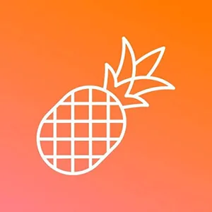 Pineapple Builder Coupons and Promo Code
