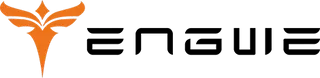 ENGWE Officieel Coupons and Promo Code