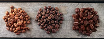 Artisan | Thecherrybean Coupons and Promo Code