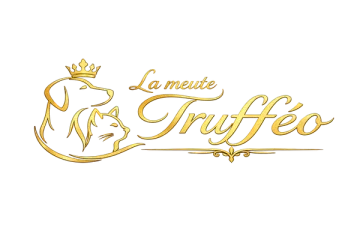 Trufféo Pack Store Coupons and Promo Code